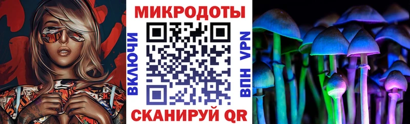 Галлюциногенные грибы Magic Shrooms  где продают наркотики  Циолковский 